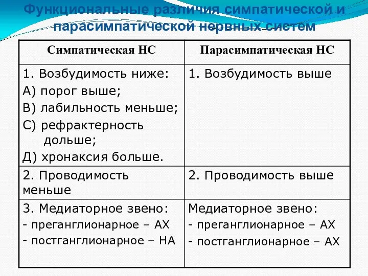 Функциональные различия симпатической и парасимпатической нервных систем