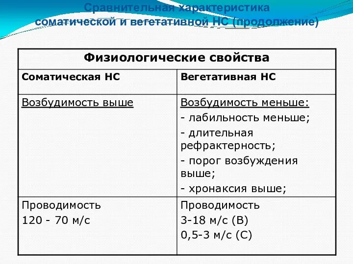 Сравнительная характеристика соматической и вегетативной НС (продолжение)