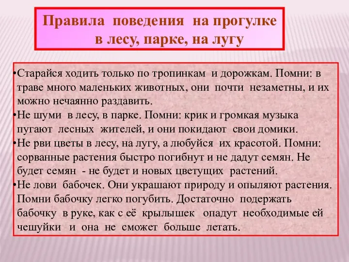 Правила поведения на прогулке в лесу, парке, на лугу Старайся ходить