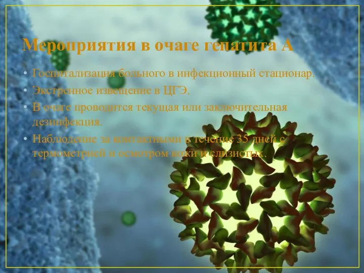 Мероприятия в очаге гепатита А Госпитализация больного в инфекционный стационар. Экстренное