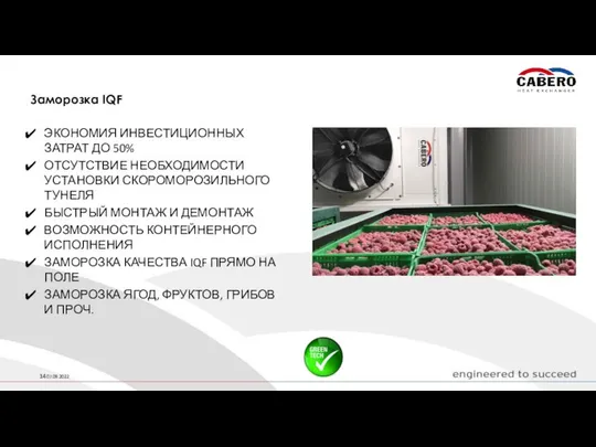 Заморозка IQF ЭКОНОМИЯ ИНВЕСТИЦИОННЫХ ЗАТРАТ ДО 50% ОТСУТСТВИЕ НЕОБХОДИМОСТИ УСТАНОВКИ СКОРОМОРОЗИЛЬНОГО