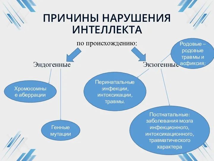 ПРИЧИНЫ НАРУШЕНИЯ ИНТЕЛЛЕКТА по происхождению: Эндогенные Экзогенные Хромосомные аберрации Генные мутации