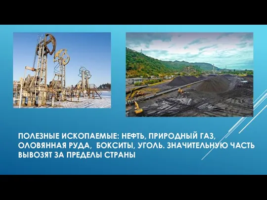 ПОЛЕЗНЫЕ ИСКОПАЕМЫЕ: НЕФТЬ, ПРИРОДНЫЙ ГАЗ, ОЛОВЯННАЯ РУДА, БОКСИТЫ, УГОЛЬ. ЗНАЧИТЕЛЬНУЮ ЧАСТЬ ВЫВОЗЯТ ЗА ПРЕДЕЛЫ СТРАНЫ