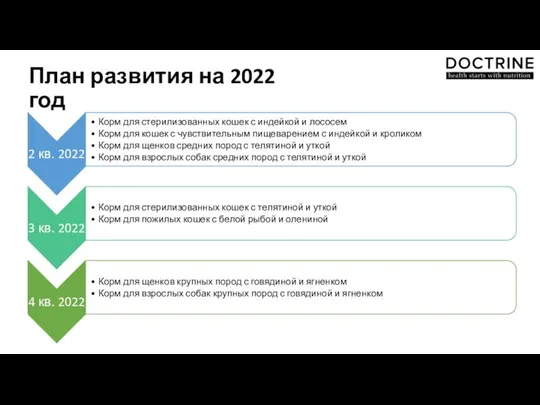 План развития на 2022 год