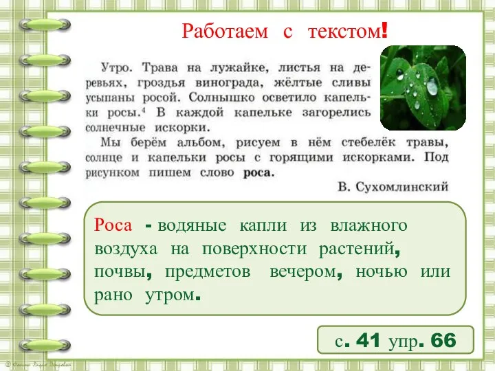 Работаем с текстом! с. 41 упр. 66 Роса - водяные капли