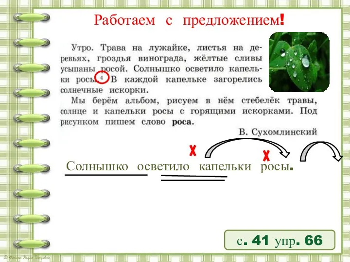 Работаем с предложением! с. 41 упр. 66 Солнышко осветило капельки росы.