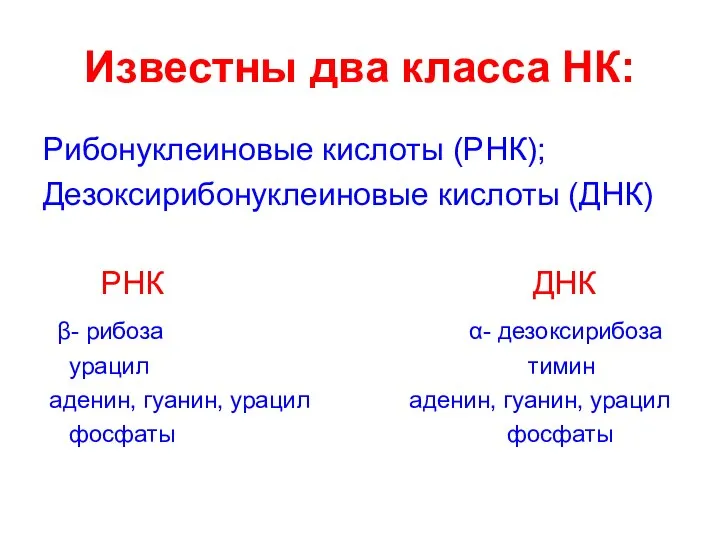 Известны два класса НК: Рибонуклеиновые кислоты (РНК); Дезоксирибонуклеиновые кислоты (ДНК) РНК