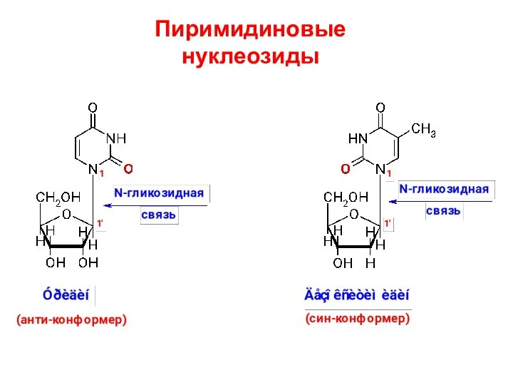 Пиримидиновые нуклеозиды