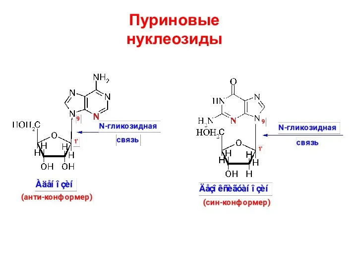 Пуриновые нуклеозиды