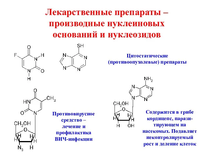 Лекарственные препараты – производные нуклеиновых оснований и нуклеозидов Цитостатические (противоопухолевые) препараты