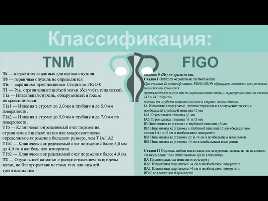 Классификация: TNM FIGO Тх — недостаточно данных для оценки опухоли. Т0