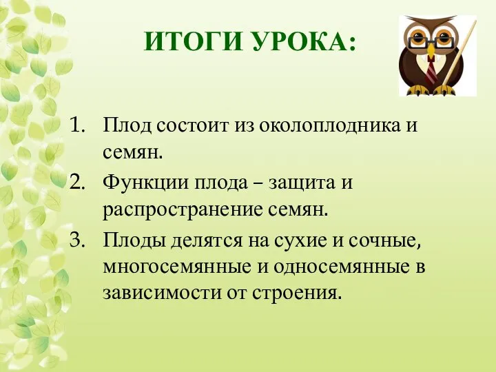 ИТОГИ УРОКА: Плод состоит из околоплодника и семян. Функции плода –