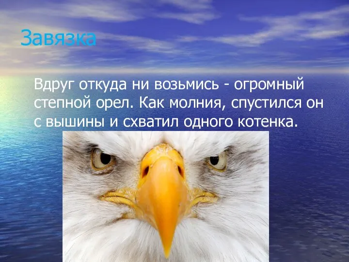 Рассказ ушинского орел и кошка. И откуда вдруг. Орел и кошка Ушинский. Будь как Орел. Ушинский Орел и кошка текст.