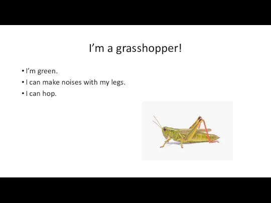 I’m a grasshopper! I’m green. I can make noises with my legs. I can hop.