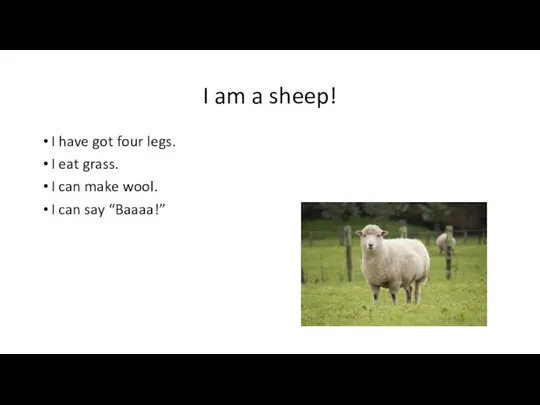 I am a sheep! I have got four legs. I eat