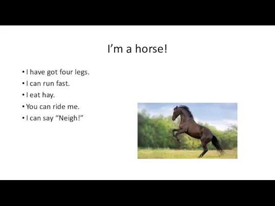 I’m a horse! I have got four legs. I can run