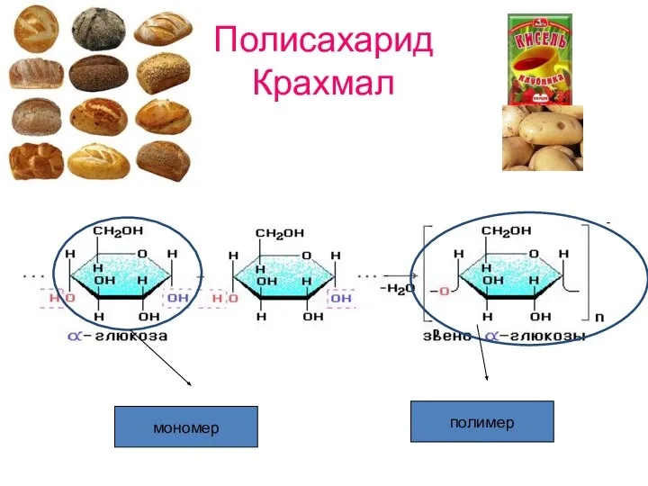 Полисахарид Крахмал мономер полимер