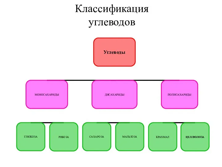 Классификация углеводов