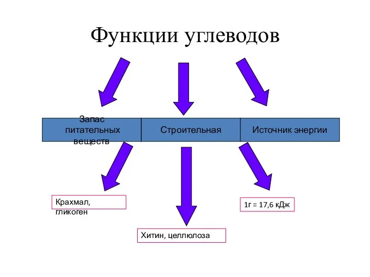 Функции углеводов Запас питательных веществ Строительная Источник энергии 1г = 17,6 кДж Хитин, целлюлоза Крахмал, гликоген