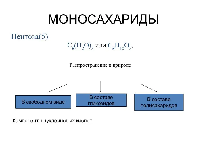 В составе полисахаридов МОНОСАХАРИДЫ Пентоза(5) C5(H2O)5 или C5H10O5. Распространение в природе