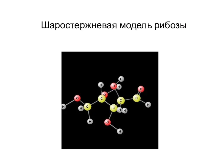 Шаростержневая модель рибозы