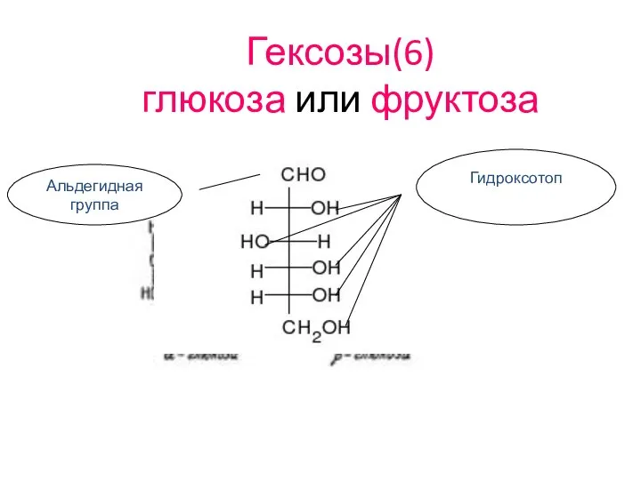 Гексозы(6) глюкоза или фруктоза Альдегидная группа Гидроксотоп