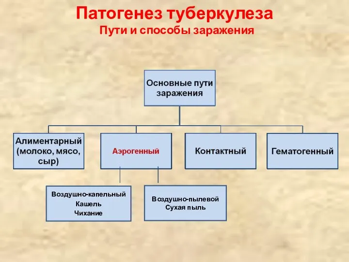 Патогенез туберкулеза Пути и способы заражения Воздушно-капельный Кашель Чихание Воздушно-пылевой Сухая пыль