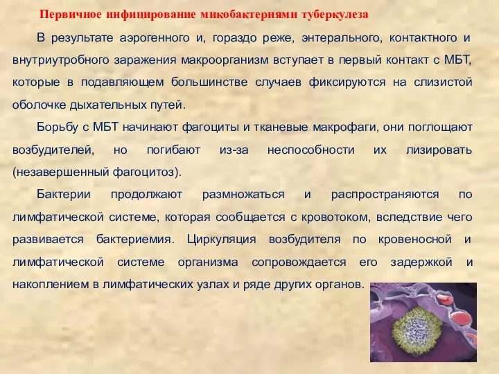 В результате аэрогенного и, гораздо реже, энтерального, контактного и внутриутробного заражения