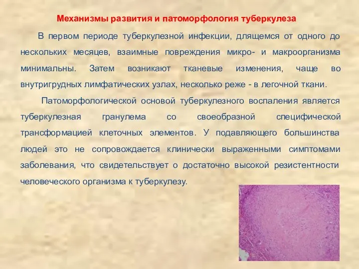 В первом периоде туберкулезной инфекции, длящемся от одного до нескольких месяцев,