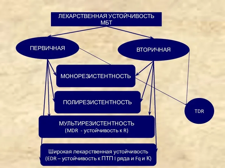 ЛЕКАРСТВЕННАЯ УСТОЙЧИВОСТЬ МБТ ПЕРВИЧНАЯ ВТОРИЧНАЯ МОНОРЕЗИСТЕНТНОСТЬ ПОЛИРЕЗИСТЕНТНОСТЬ МУЛЬТИРЕЗИСТЕНТНОСТЬ (MDR - устойчивость