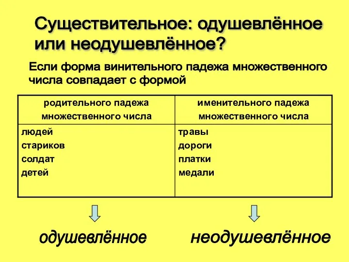 Существительное: одушевлённое или неодушевлённое? Если форма винительного падежа множественного числа совпадает с формой