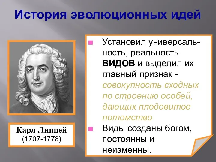 Установил универсаль-ность, реальность ВИДОВ и выделил их главный признак - совокупность