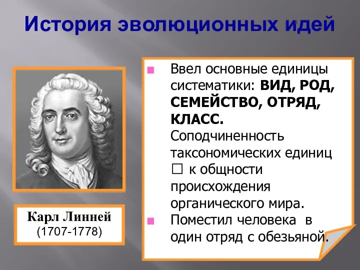 Ввел основные единицы систематики: ВИД, РОД, СЕМЕЙСТВО, ОТРЯД, КЛАСС. Соподчиненность таксономических