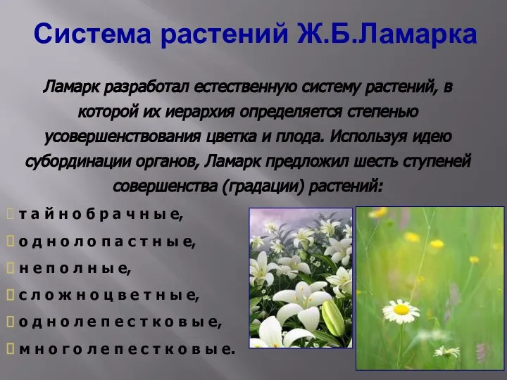 Система растений Ж.Б.Ламарка Ламарк разработал естественную систему растений, в которой их