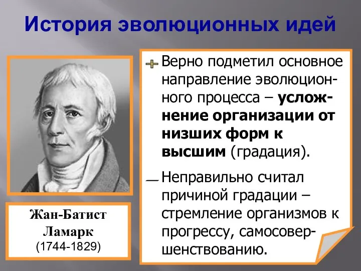 Верно подметил основное направление эволюцион-ного процесса – услож-нение организации от низших