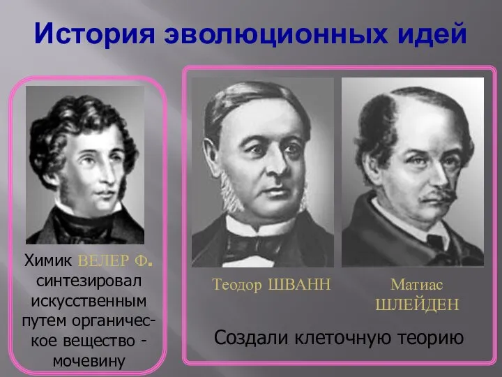 История эволюционных идей Химик ВЕЛЕР Ф. синтезировал искусственным путем органичес-кое вещество