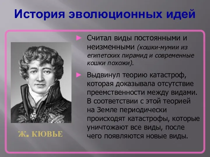 История эволюционных идей Ж. КЮВЬЕ Считал виды постоянными и неизменными (кошки-мумии