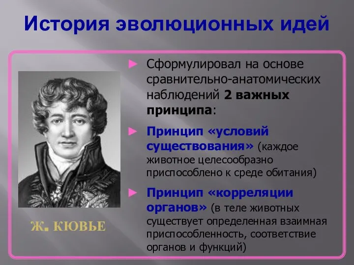 История эволюционных идей Ж. КЮВЬЕ Сформулировал на основе сравнительно-анатомических наблюдений 2