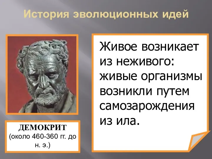 Живое возникает из неживого: живые организмы возникли путем самозарождения из ила.