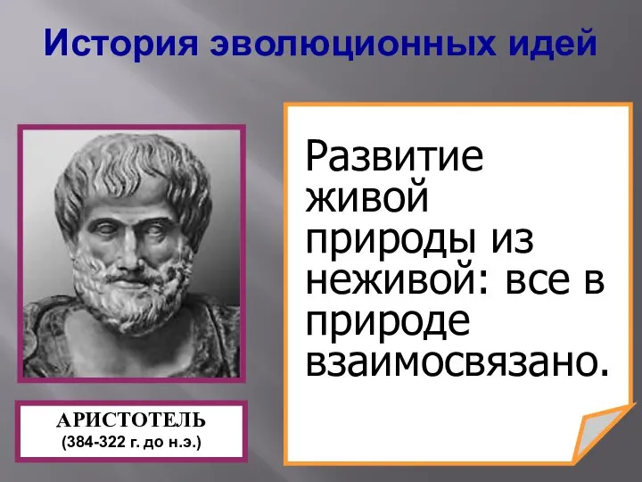 Развитие живой природы из неживой: все в природе взаимосвязано. АРИСТОТЕЛЬ (384-322