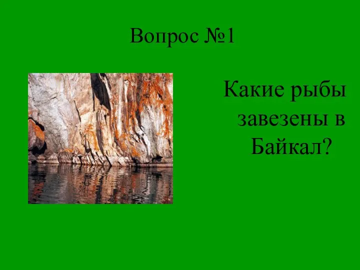 Вопрос №1 Какие рыбы завезены в Байкал?