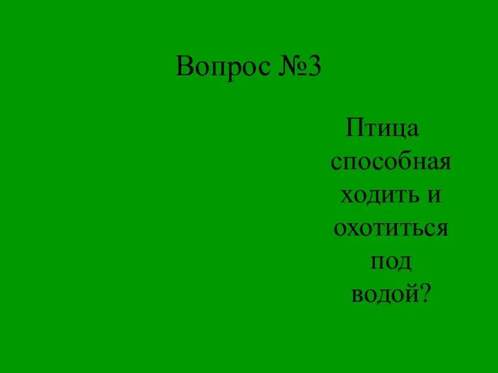 Вопрос №3 Птица способная ходить и охотиться под водой?