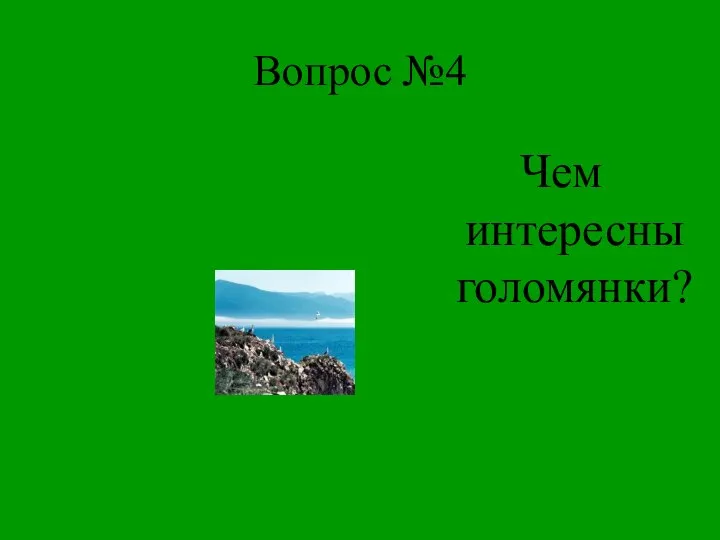 Вопрос №4 Чем интересны голомянки?