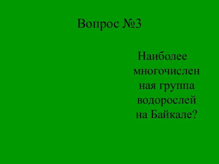 Вопрос №3 Наиболее многочисленная группа водорослей на Байкале?