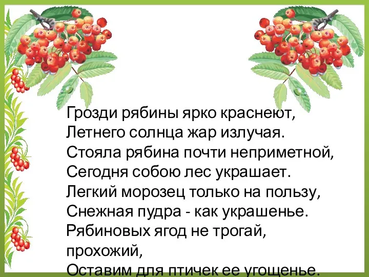 Грозди рябины ярко краснеют, Летнего солнца жар излучая. Стояла рябина почти