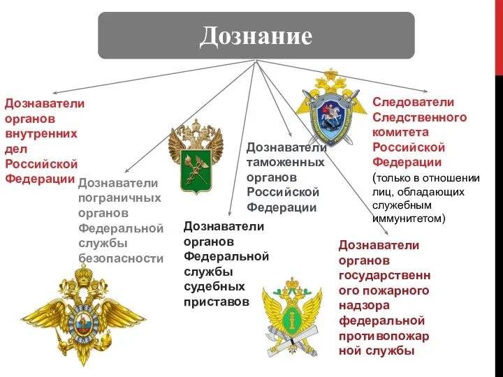 Дознаватели органов внутренних дел Российской Федерации Дознаватели пограничных органов Федеральной службы