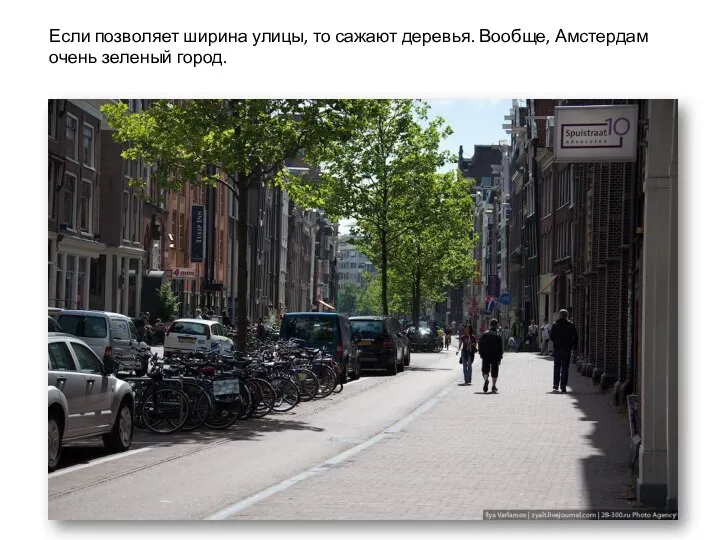 Если позволяет ширина улицы, то сажают деревья. Вообще, Амстердам очень зеленый город.