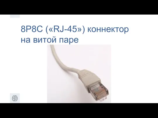 8P8C («RJ-45») коннектор на витой паре