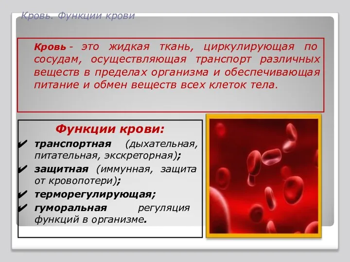 Кровь. Функции крови Кровь - это жидкая ткань, циркулирующая по сосудам,