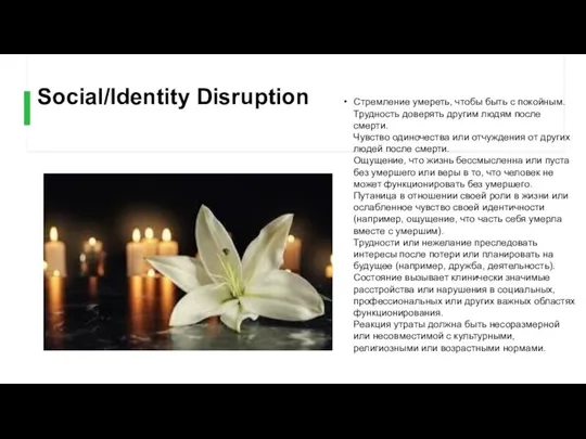 Social/Identity Disruption Стремление умереть, чтобы быть с покойным. Трудность доверять другим